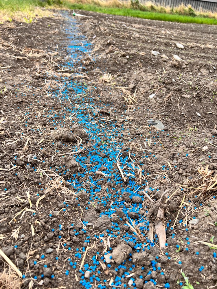 Giftköder-Achtung Schneckenkorn-Profilbild