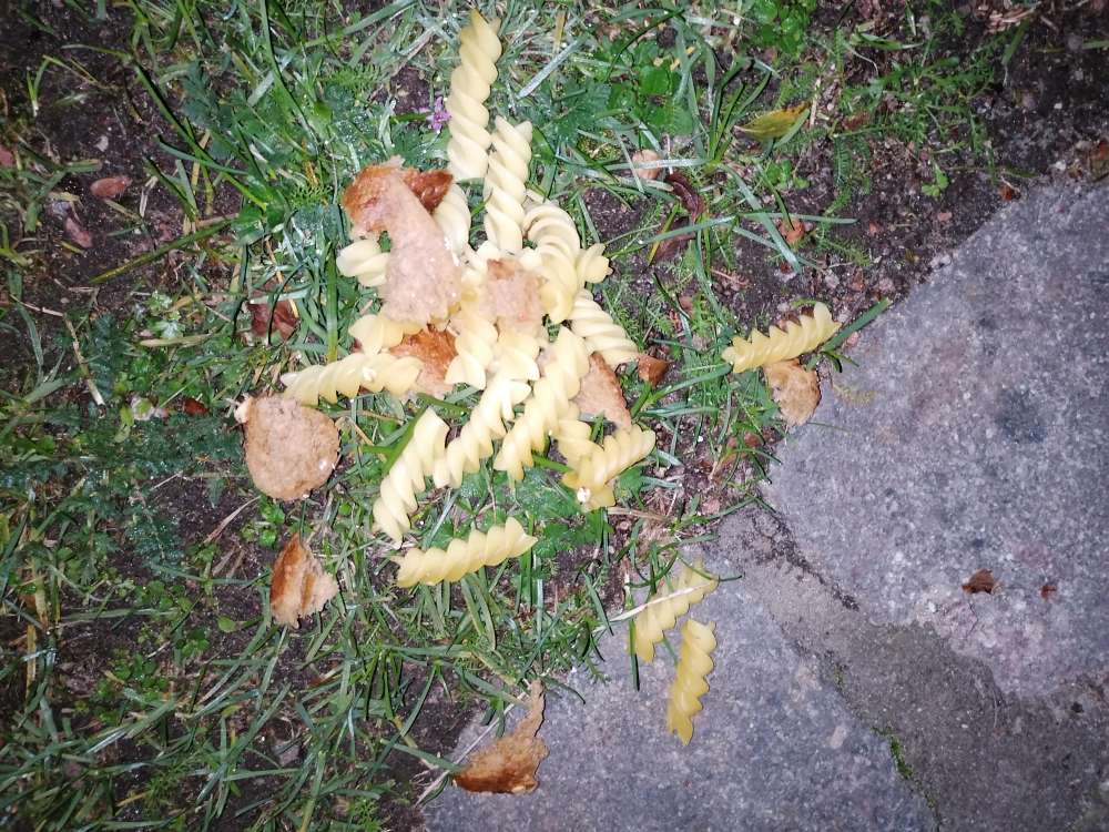 Giftköder-Giftköder Hoisbütteler Feuerwehr-Profilbild