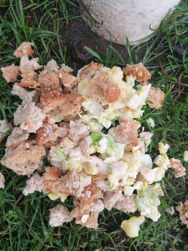 Giftköder-Evtl. Giftköder bei Hoisbütteler Feuerwehr-Profilbild