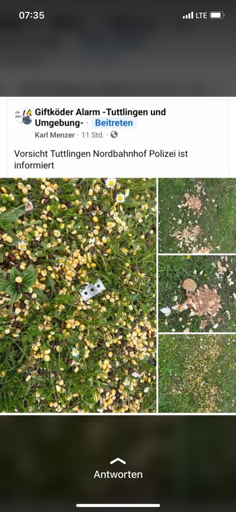 Giftköder-Fleischreste, Verdorbenes, Rasierklingen-Profilbild