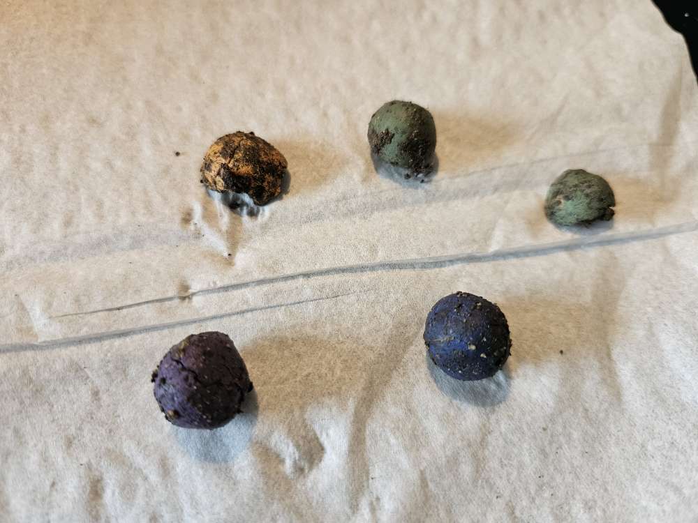 Giftköder-Glas u.möglicherweise Giftköder gefunden-Profilbild