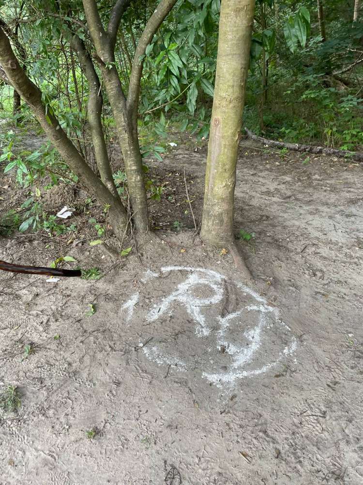 Giftköder-Weißes Pulver verteilt-Profilbild