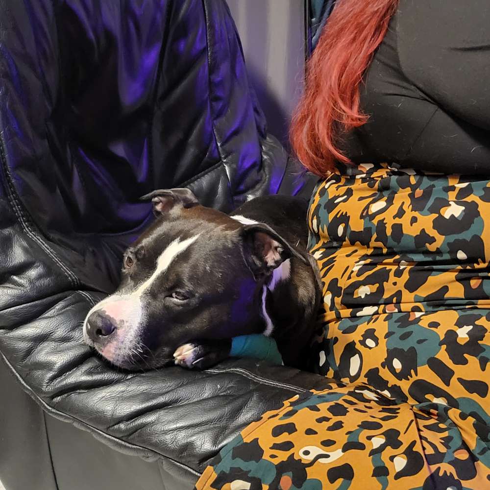 Giftköder-Rattengift-Profilbild