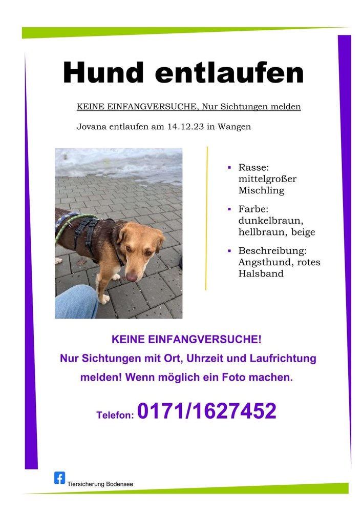 Suchmeldung-Jovana-Profilbild