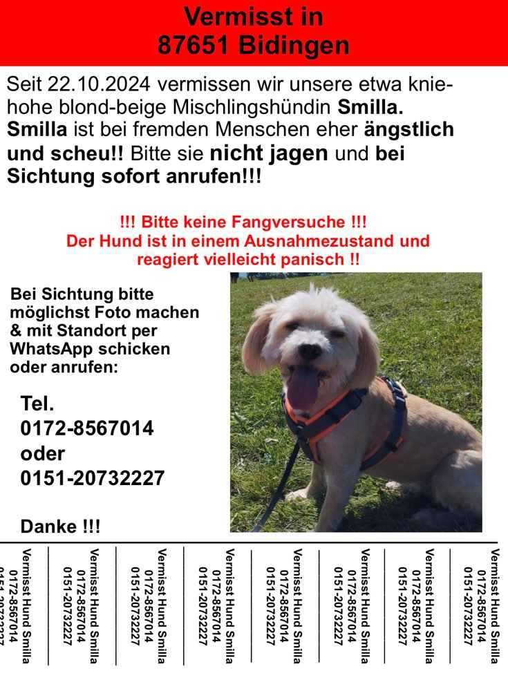 Suchmeldung-Smilla-Profilbild