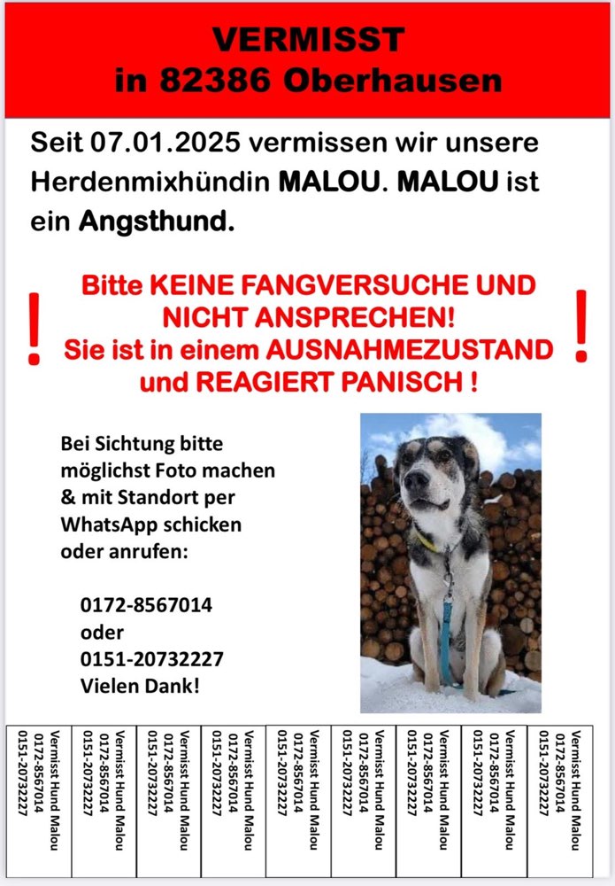 Suchmeldung-Malou-Profilbild