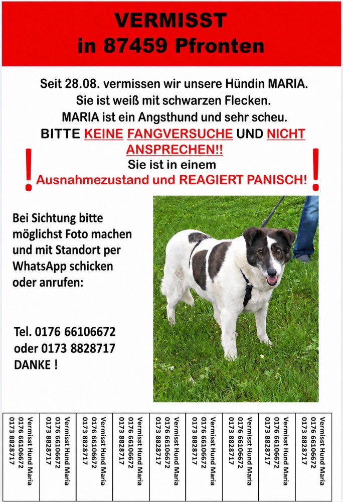 Suchmeldung-Maria-Profilbild