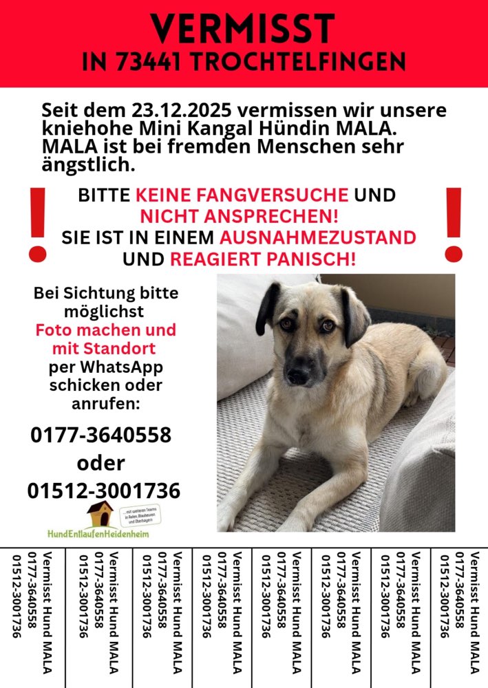 Suchmeldung-Mala-Profilbild