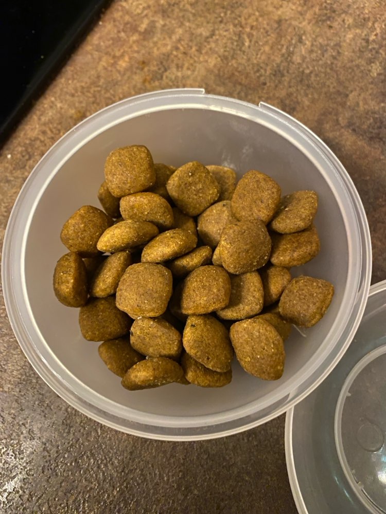 Giftköder-Große Mengen Trockenfutter auf Gehweg-Profilbild