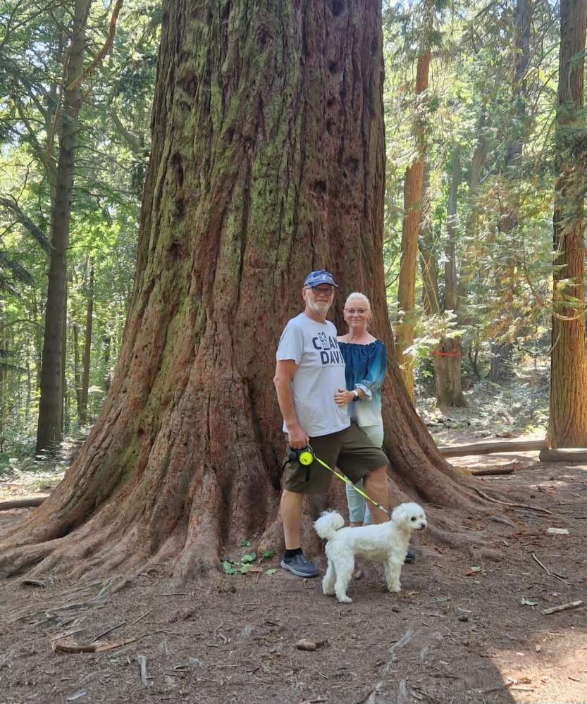 Hundetreffen-Spiel-Treffen oder Gassi-Runde-Profilbild