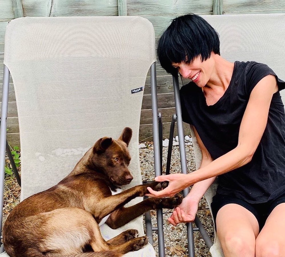 Hundetreffen-Hundespiel,- Agility -Freunde in Münster gesucht-Profilbild