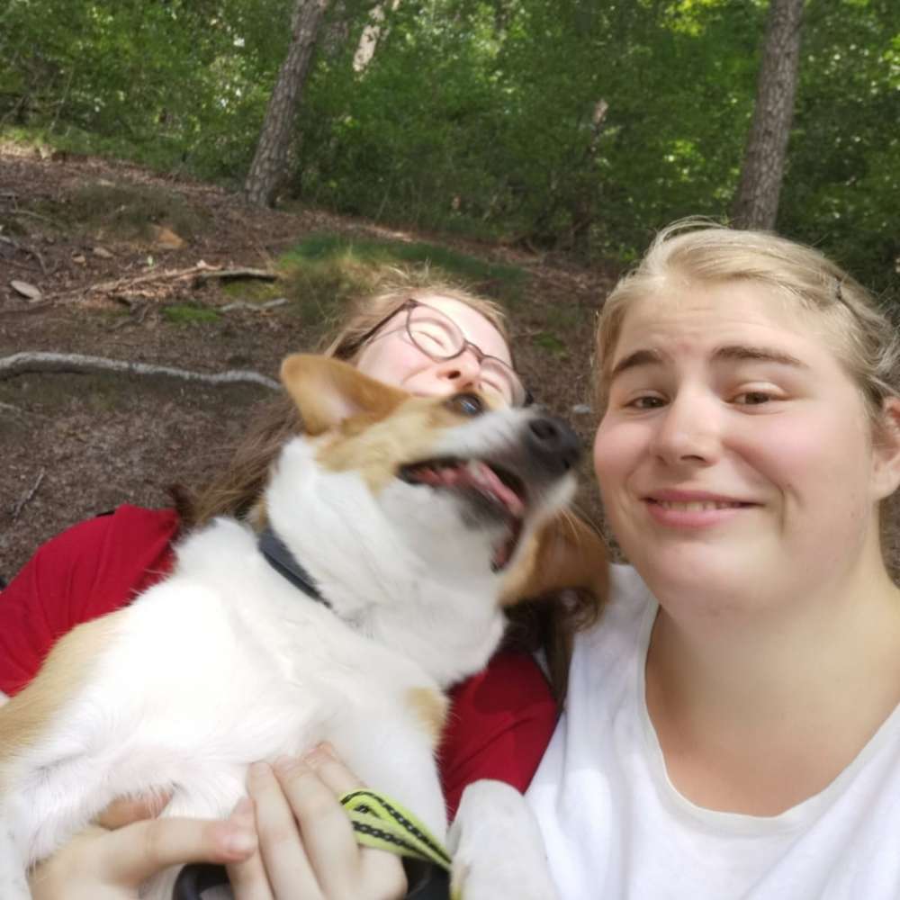 Hundetreffen-Spielgefährten gesucht-Profilbild