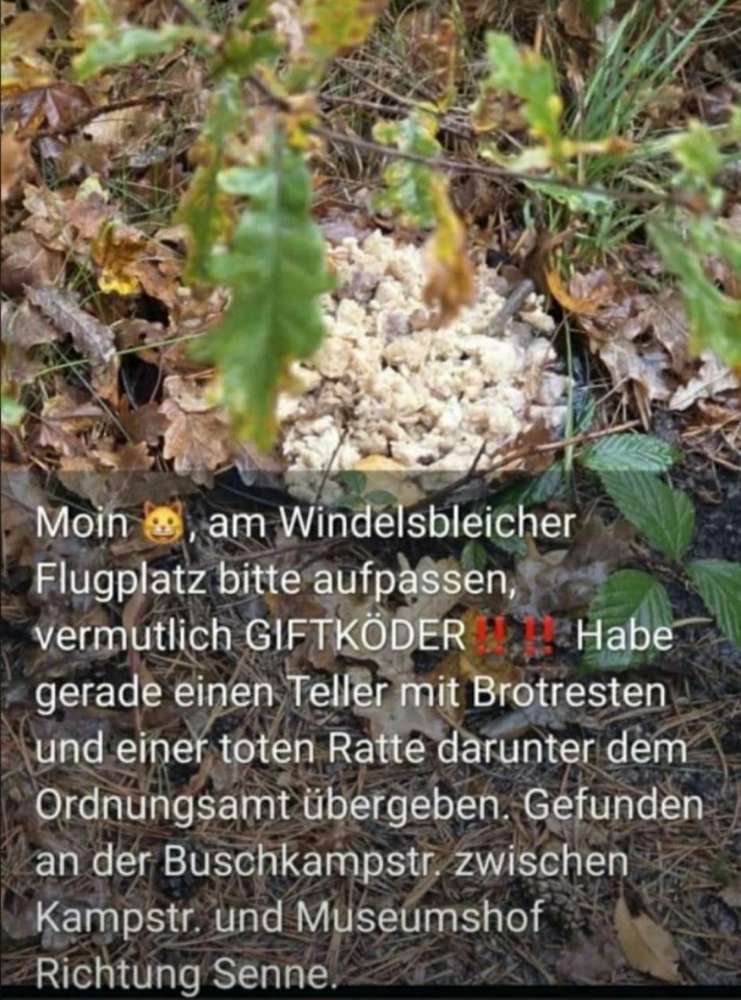 Giftköder-Giftköder-Profilbild