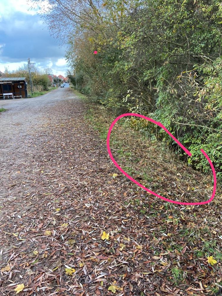 Giftköder-Chemisch riechende Erde an Böschung-Profilbild