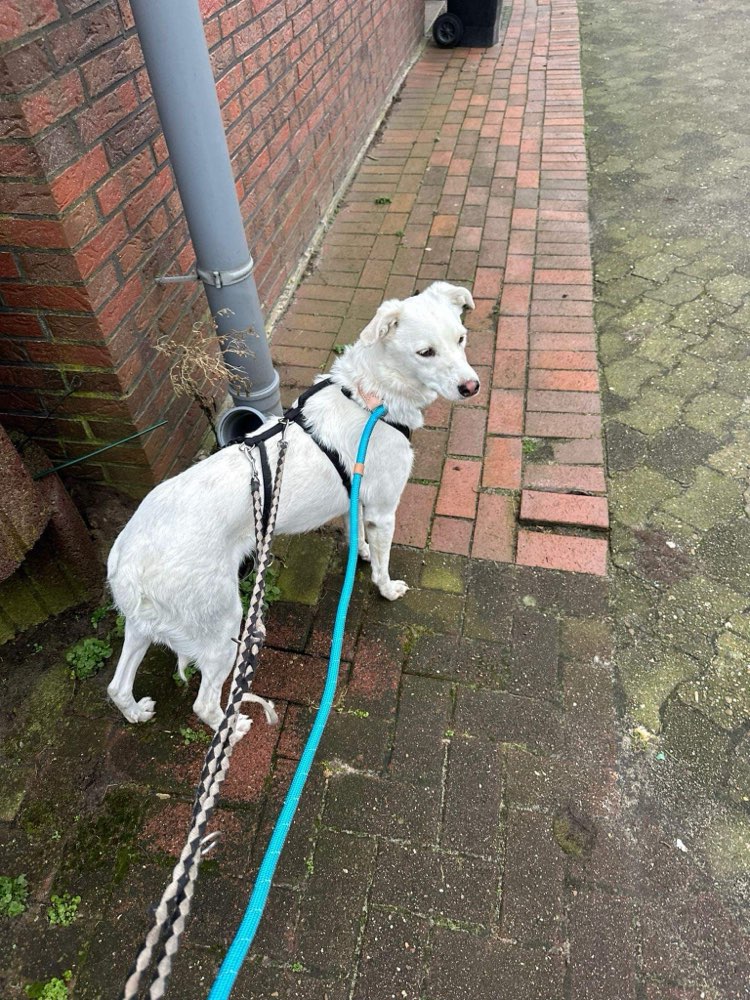 Suchmeldung-Charon-Profilbild