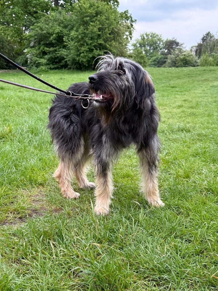 Suchmeldung-Shuri-Profilbild