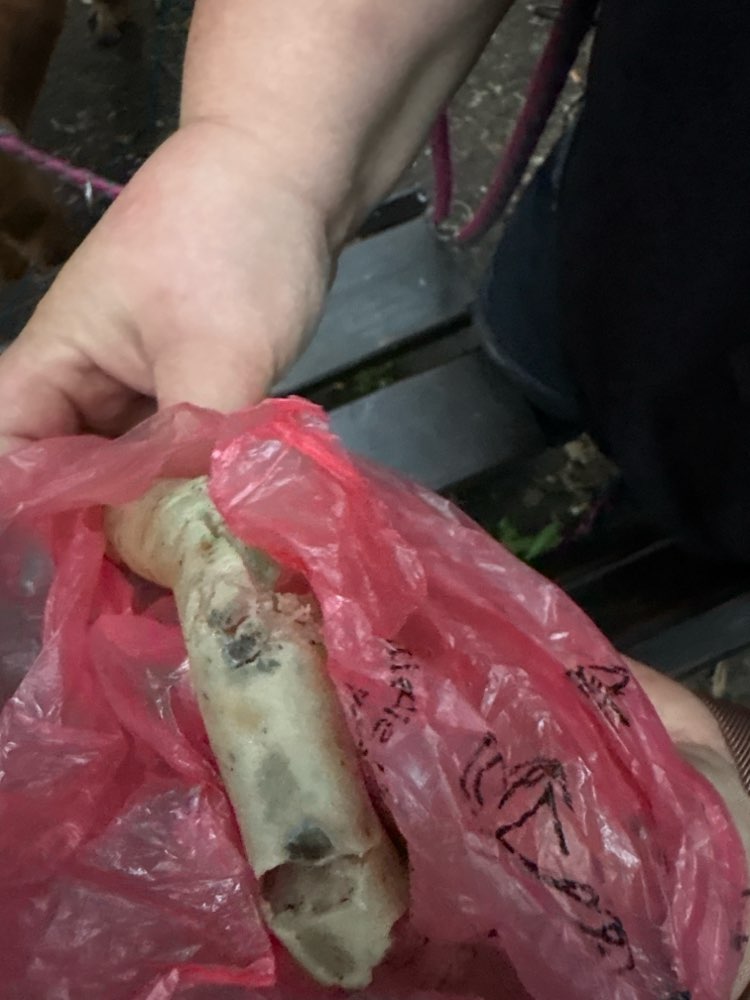 Giftköder-Giftköder am Wegesrand im Park?-Profilbild