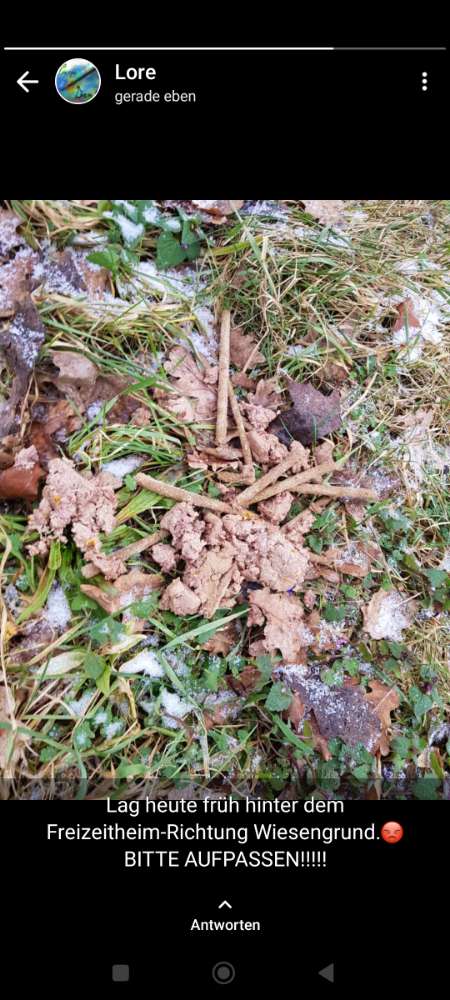 Giftköder-Evtl. Giftköder-Profilbild