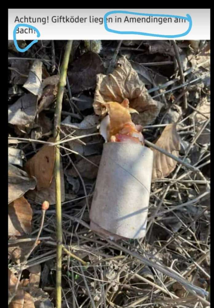 Giftköder-Giftköder in Amendingen am Bach-Profilbild