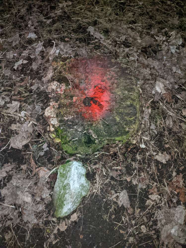 Giftköder-Rotes Pulver in Winterhude-Profilbild