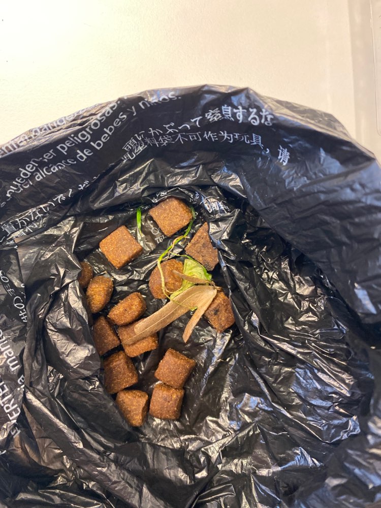 Giftköder-Futter ausgelegt-Profilbild