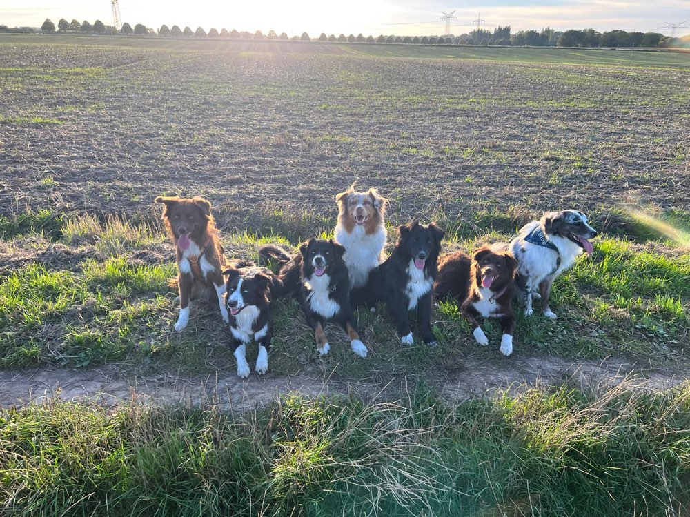 Hundetreffen-Hund und Kind - Treffen -gemeinsam  zusammen stark-Profilbild