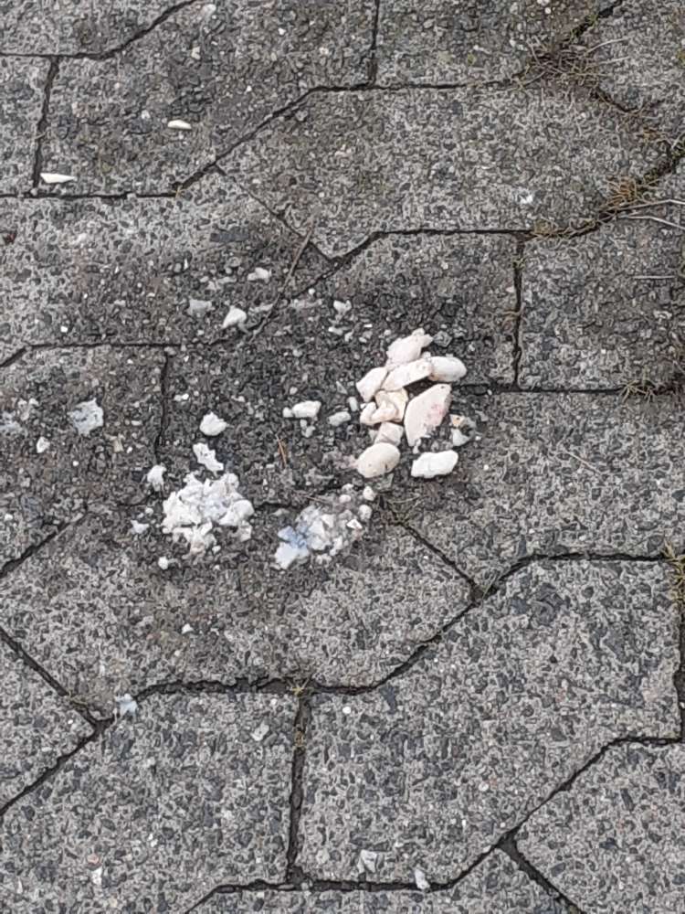 Giftköder-Weiße Reste von irgendwas-Profilbild