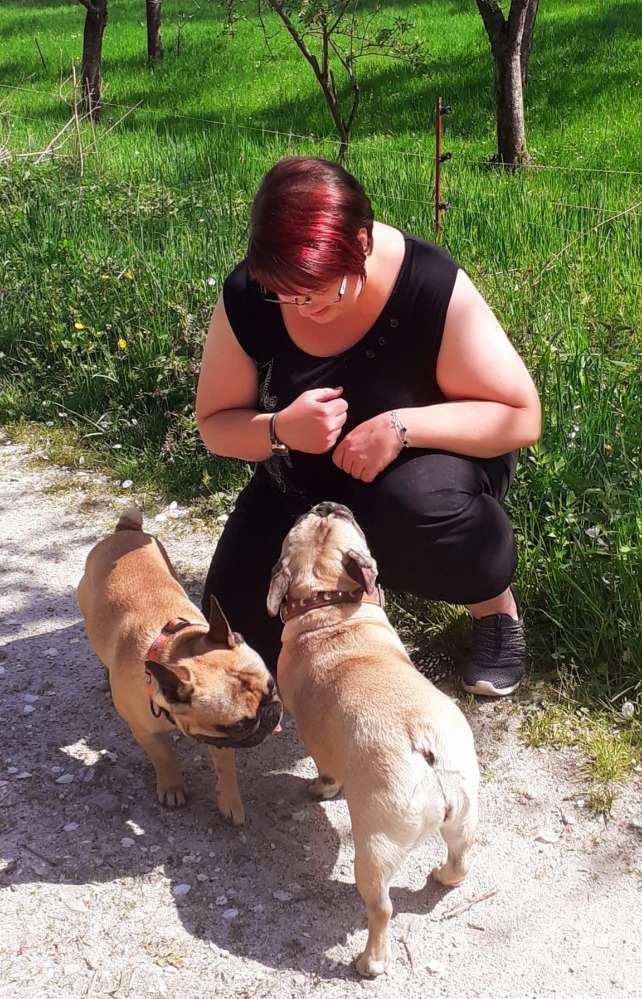 Hundetreffen-Bullytreff-MTK-Profilbild