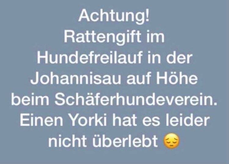 Giftköder-Rattengift-Profilbild