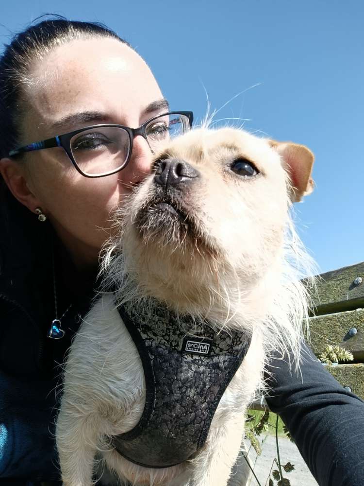 Hundetreffen-Gassi Treffen an der Lichte-Profilbild
