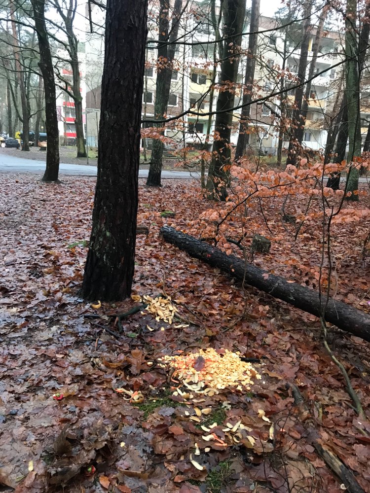 Giftköder-Bio Reste! Evt. Giftköder-Profilbild