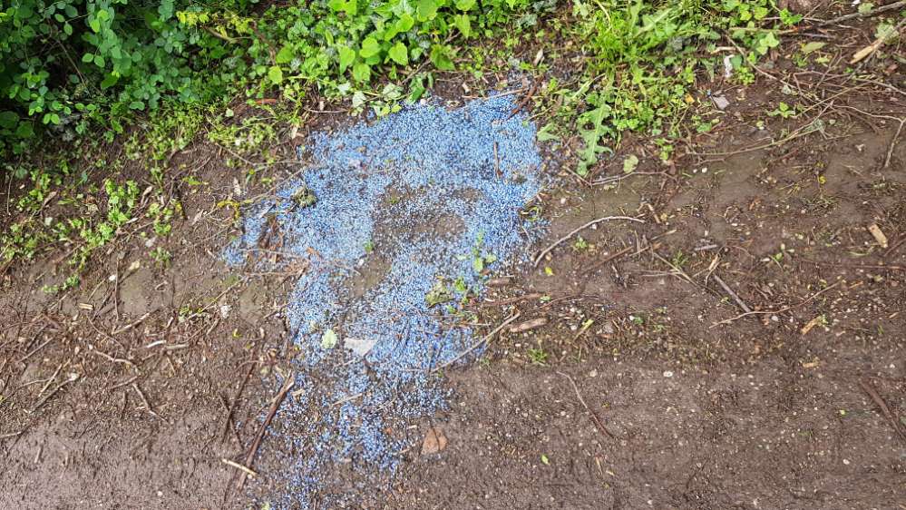 Giftköder-Schneckenkorn-Profilbild