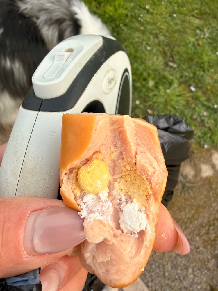 Giftköder-Giftköder-Profilbild