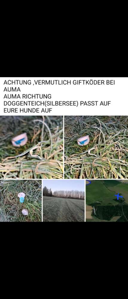 Giftköder-Giftköder Auma Richtung Doggenteich-Profilbild