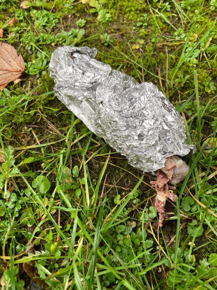Giftköder-Fleischköder in Alufolie-Profilbild