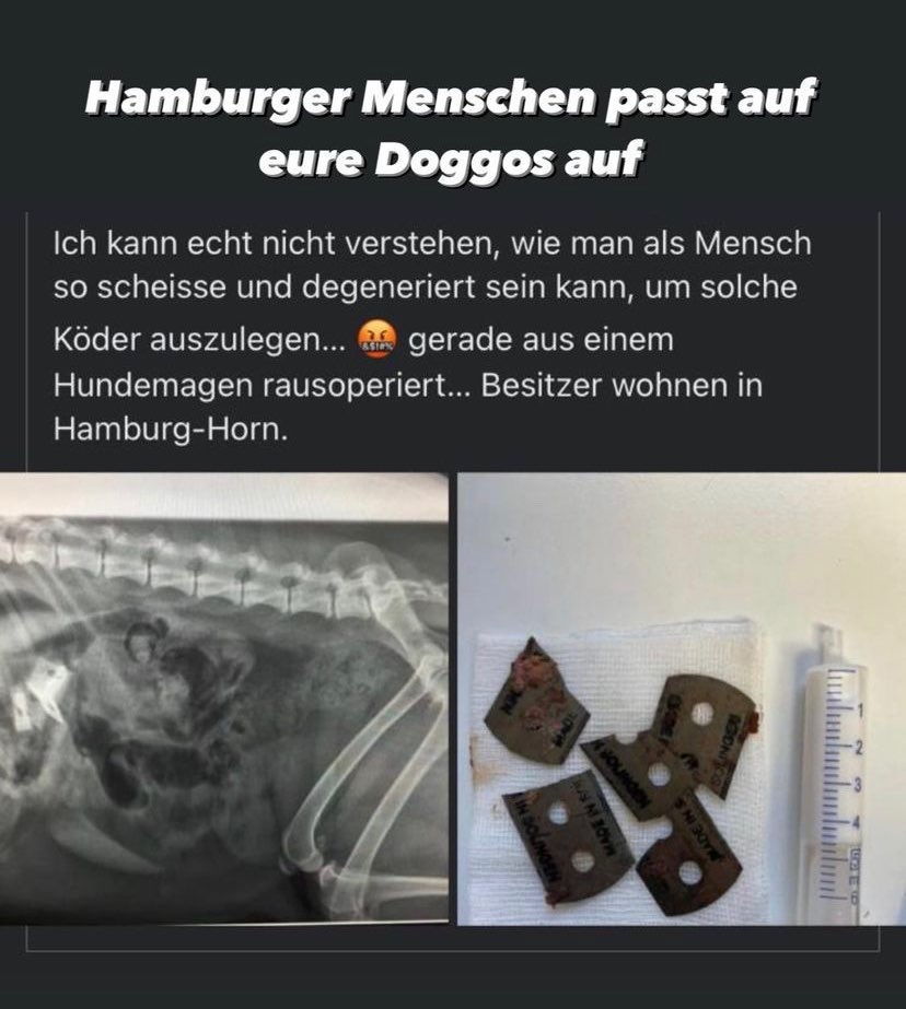 Giftköder-Hund vergiftet-Profilbild