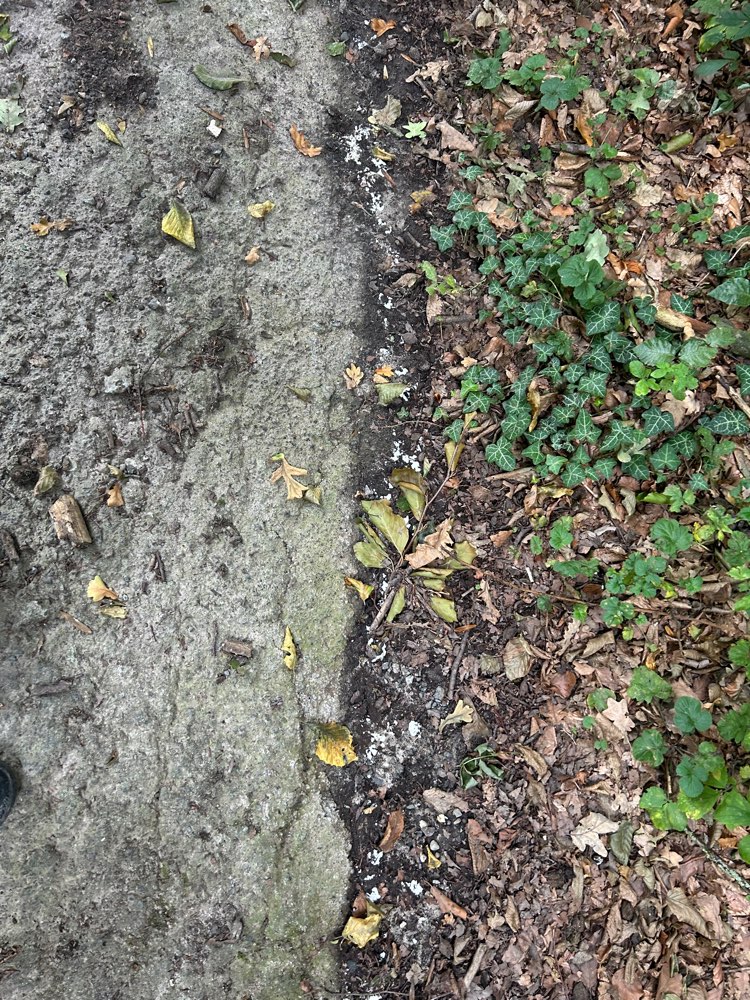 Giftköder-Verdacht auf Giftköder-Profilbild