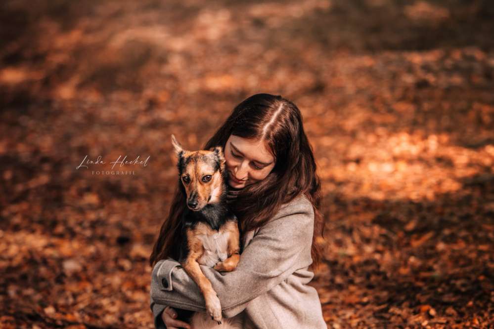 Hundetreffen-Herbst Fotowalk 🍁🐶-Profilbild