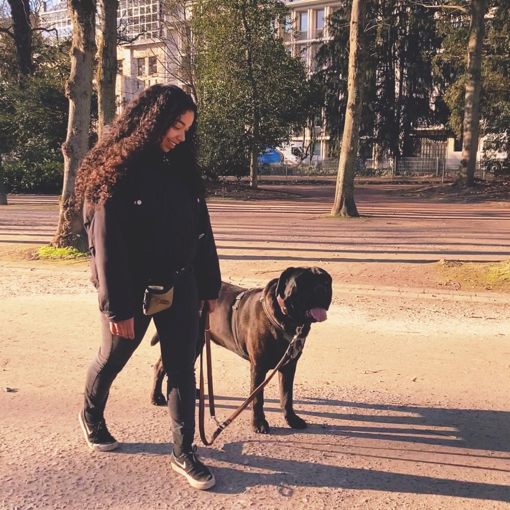 Hundetreffen-Social walk-Profilbild