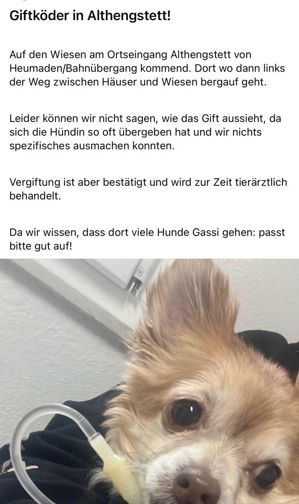Giftköder-Giftköder-Profilbild