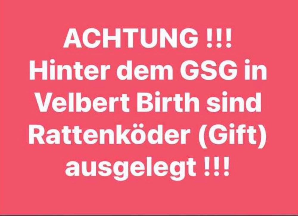 Giftköder-Rattenköder-Profilbild