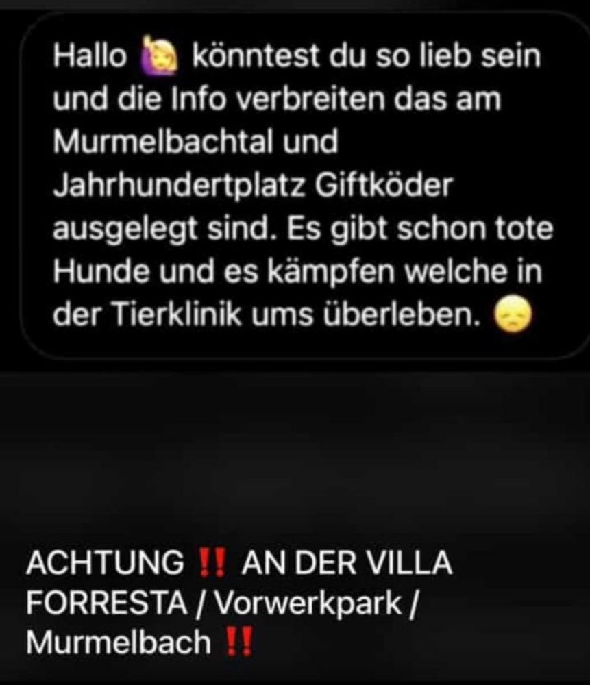 Giftköder-Giftköder-Profilbild