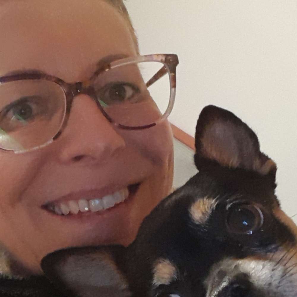 Hundetreffen-Chihuahua und Kleinhundetreffen in Heidenau-Profilbild
