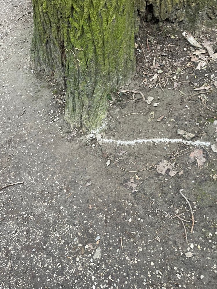 Giftköder-Giftköder-Profilbild