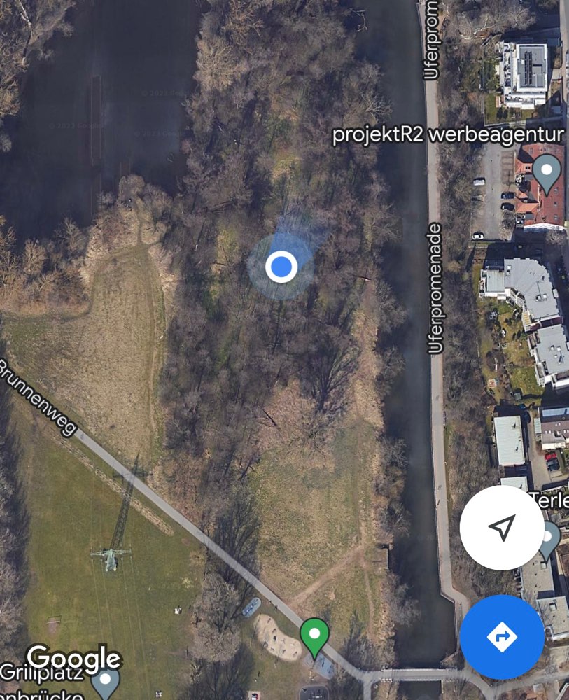 Giftköder-Riesenbärenklau-Profilbild