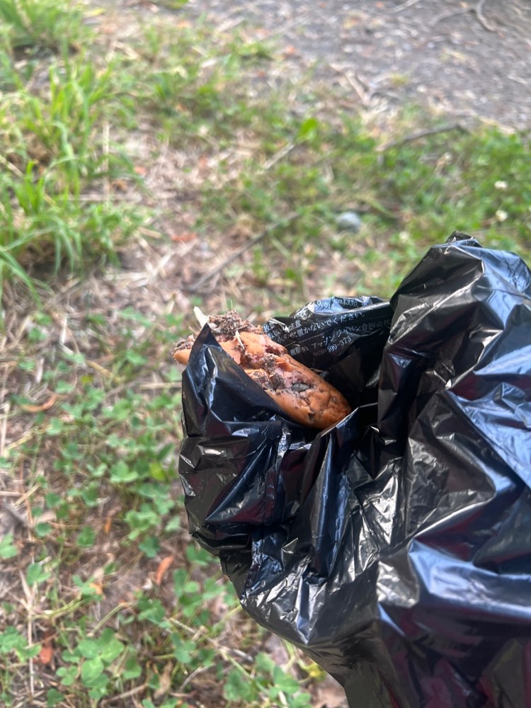 Giftköder-Wiener mit Blauenstückchen-Profilbild