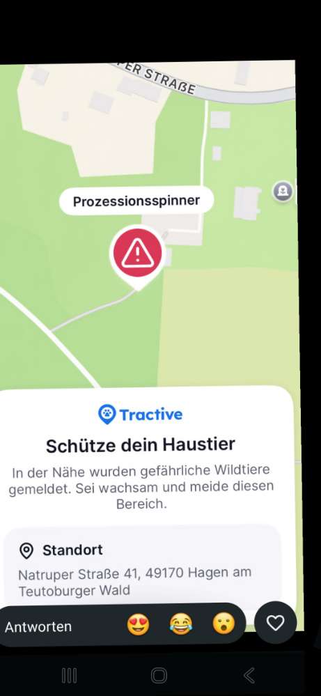 Giftköder-Eichen-Prozessionsspinner-Profilbild