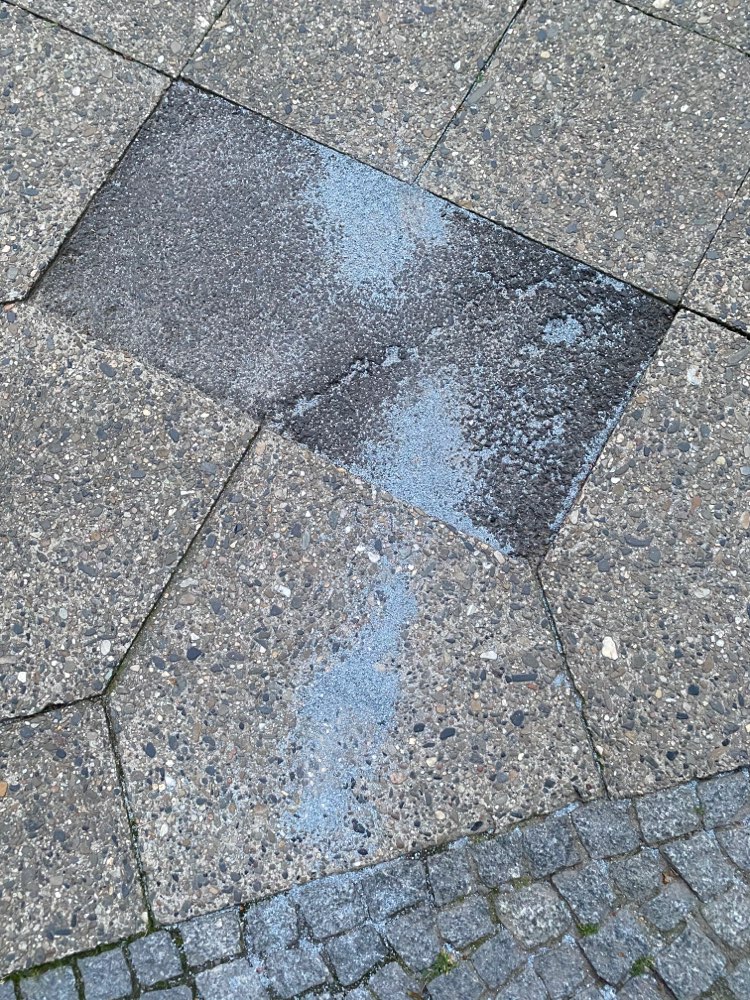 Giftköder-Rattengift?-Profilbild