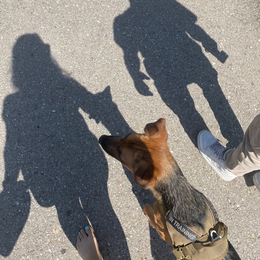 Hundetreffen-Kleine Gassirunde zum Kennenlernen-Profilbild