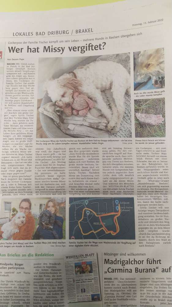 Giftköder-Giftköder-Profilbild